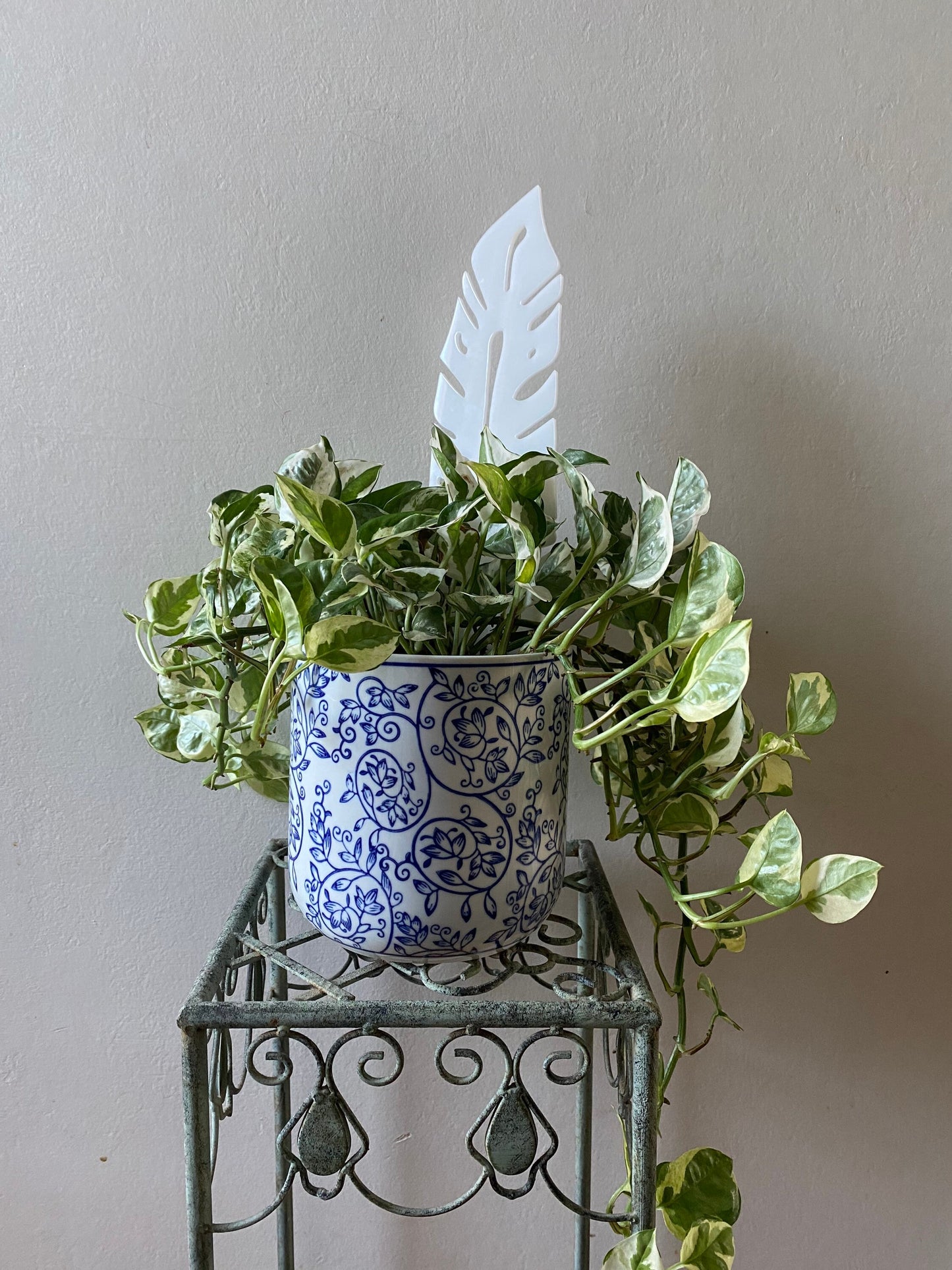 Plant Support Trellis White Acrylic | Decorative Modern Houseplant Pot Stand | Indoor Outdoor Garden Patio Accessory