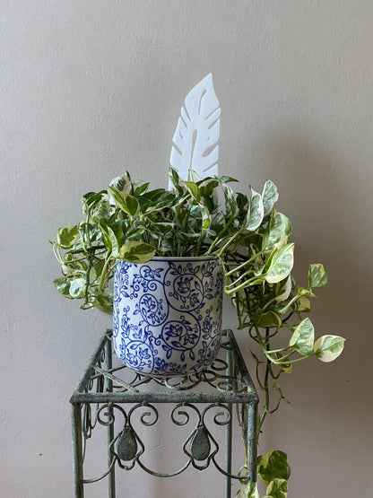 Plant Support Trellis White Acrylic | Decorative Modern Houseplant Pot Stand | Indoor Outdoor Garden Patio Accessory | Custom Sign | 1620 Designs