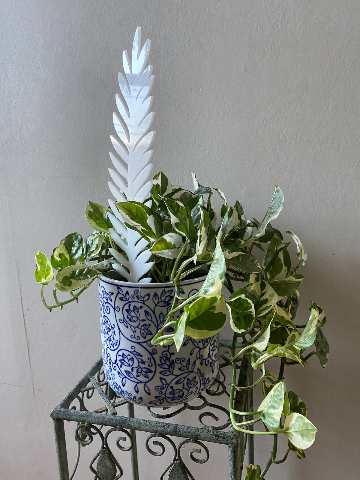 Plant Support Trellis White Acrylic | Decorative Modern Houseplant Pot Stand | Indoor Outdoor Garden Patio Accessory | Custom Sign | 1620 Designs