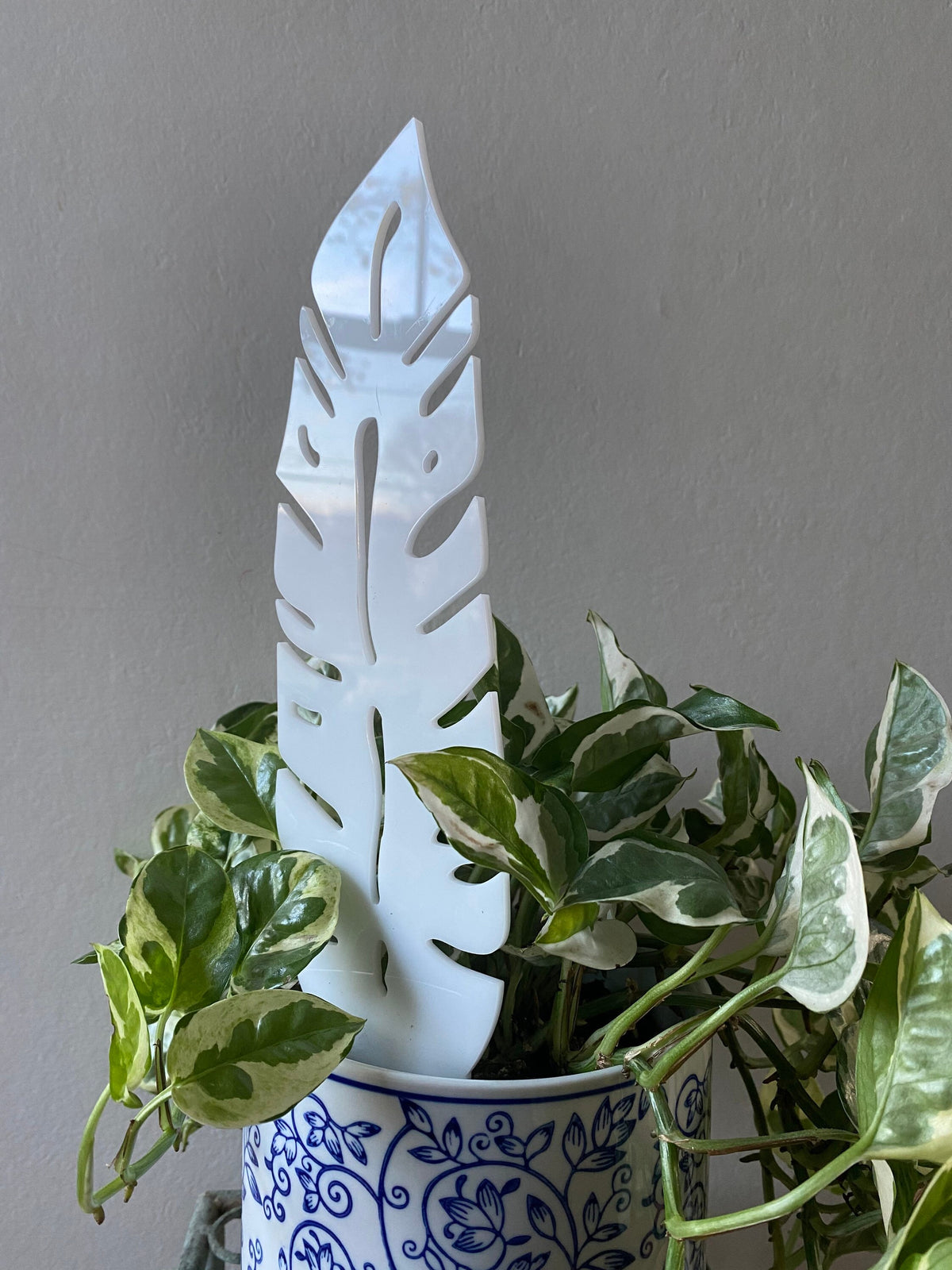 Plant Support Trellis White Acrylic | Decorative Modern Houseplant Pot Stand | Indoor Outdoor Garden Patio Accessory | Custom Sign | 1620 Designs