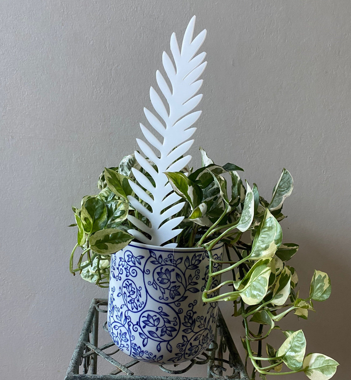 Plant Support Trellis White Acrylic | Decorative Modern Houseplant Pot Stand | Indoor Outdoor Garden Patio Accessory | Custom Sign | 1620 Designs
