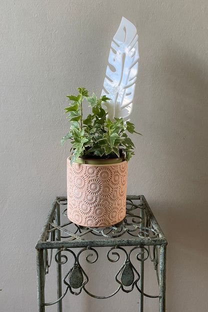 Plant Support Trellis White Acrylic | Decorative Modern Houseplant Pot Stand | Indoor Outdoor Garden Patio Accessory